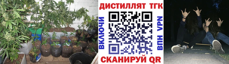 ТГК гашишное масло  купить закладку  Нефтекумск 