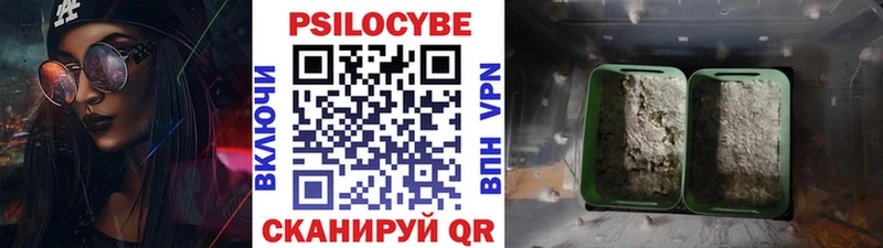 Псилоцибиновые грибы Psilocybe Нефтекумск