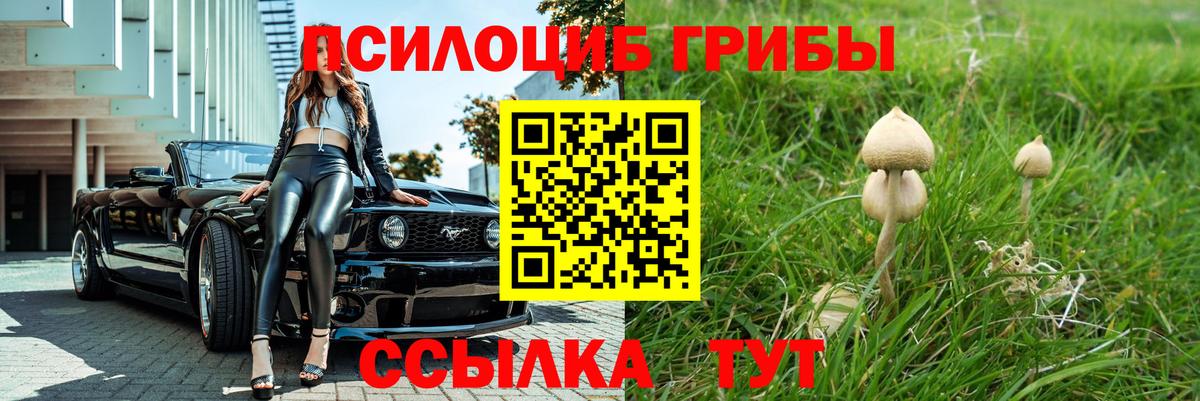 Галлюциногенные грибы мицелий Нефтекумск
