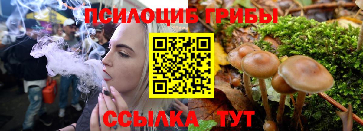 Нефтекумск  Галлюциногенные грибы мухоморы  Вход с VPN 